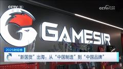 年营收破10亿强势登顶！盖世小鸡代表“中国智造”登上央视跨年专题